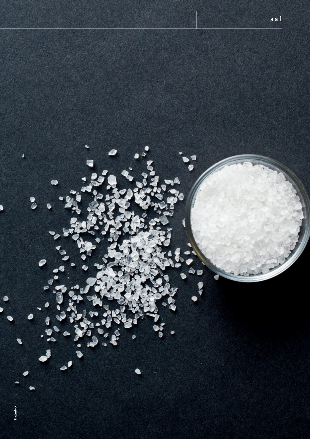 Captura de Tela 2023-08-07 às 18.54.50